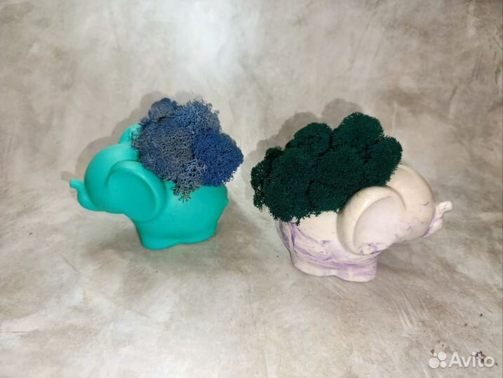 Кашпо слон с мхом