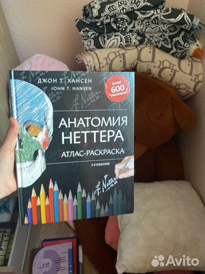 Анатомия неттера