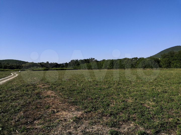 Участок 4,3 сот. (СНТ, ДНП)