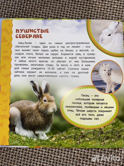 Энциклопедия