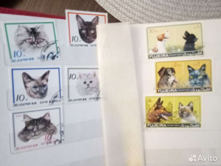 Альбом марок животных
