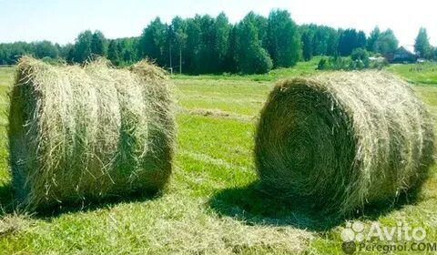 Сено в тюках