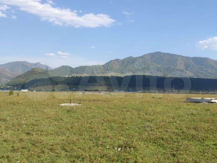 Участок 24 сот. (СНТ, ДНП)