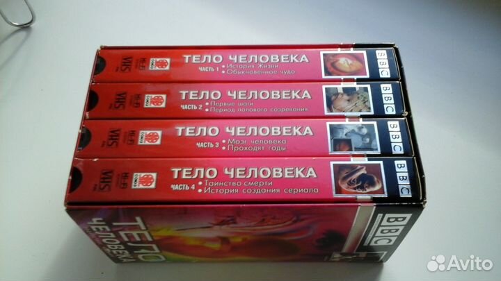 Тело человека видеокасеты