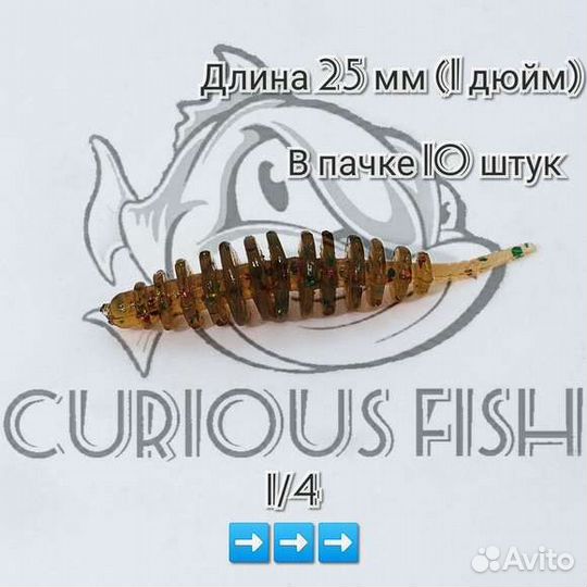 Curious Fish Leech Dance Slim 1 дюйм (25мм)