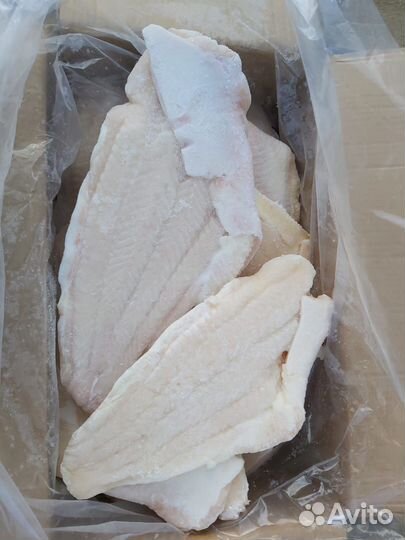 Филе Пангасиуса