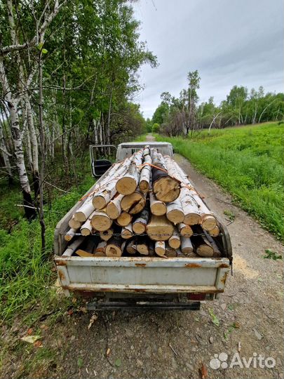 Дрова березовые чурками
