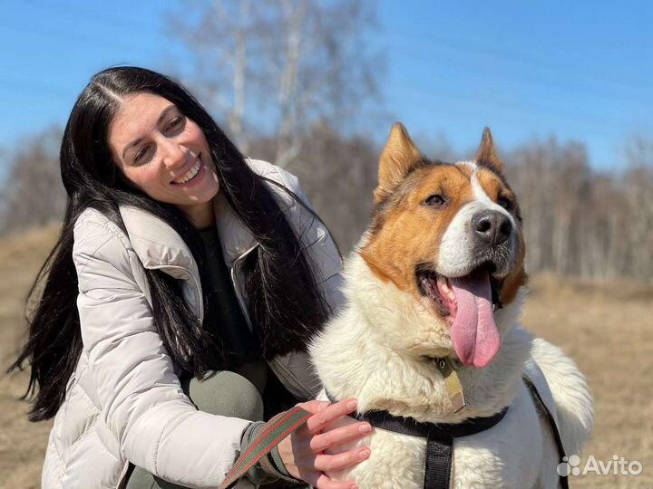 Малышка Милка ждёт тебя в приюте