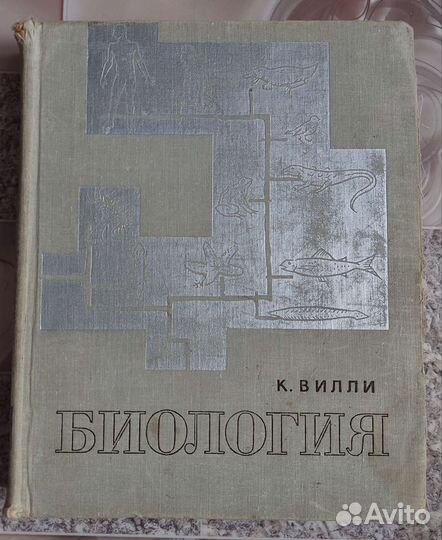 Книга 
