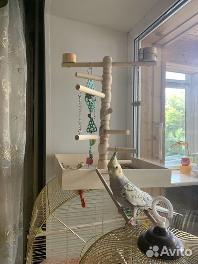 Игровая площадка для попугая