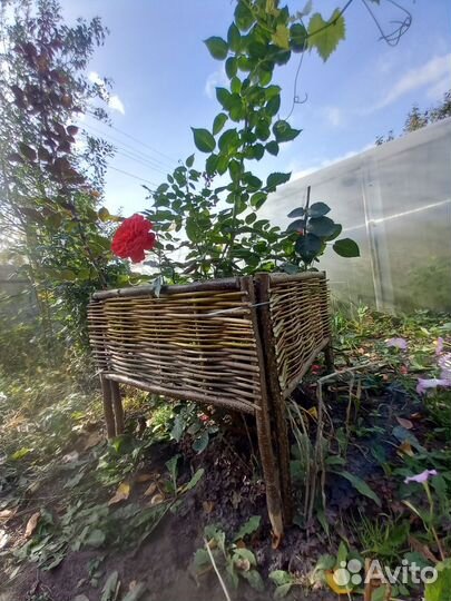 Садовый декоративный забор плетёный из лозы