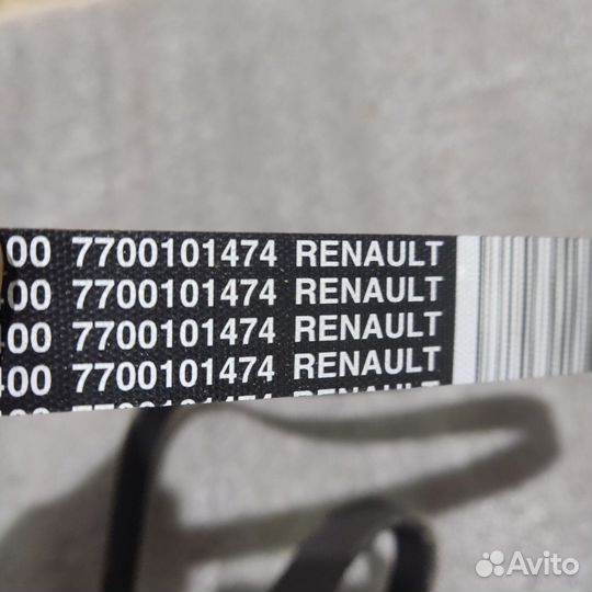 Ремень приводной Renault Kangoo 2007