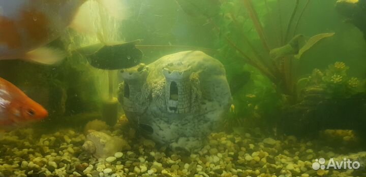 Аквариум со всем оборудованием