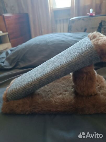 Когтеточка для котят