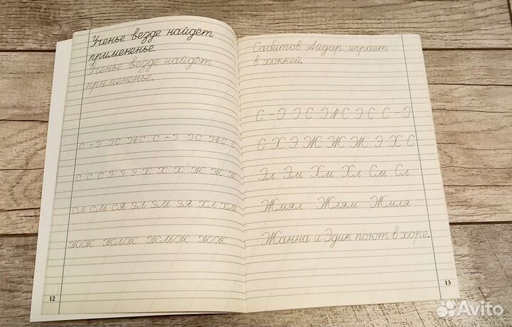 Рабочая тетрадь Прописи 1 класс