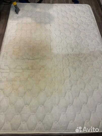 Аренда моющего пылесоса karcher