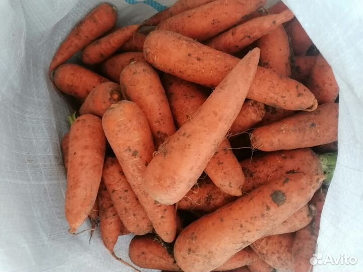 Морковь, картошка, репа