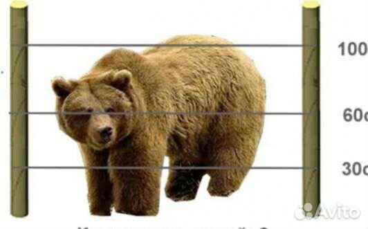 Электропастух электроизгородь от медведей