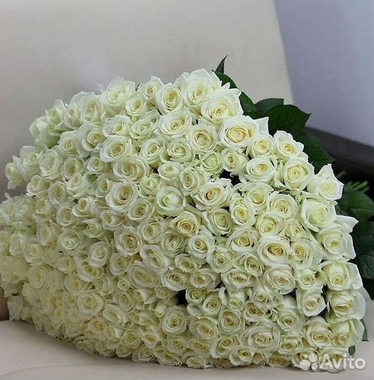 Розы Цветы Букеты 25 51 151 201 101 301 501 опт