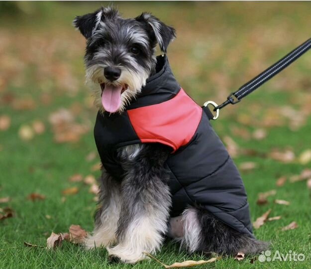 Жилет для собак размер L
