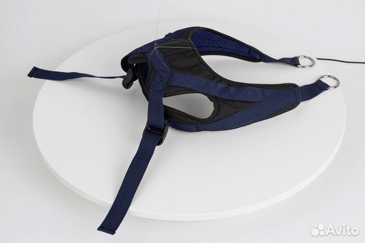 Петля Глиссона