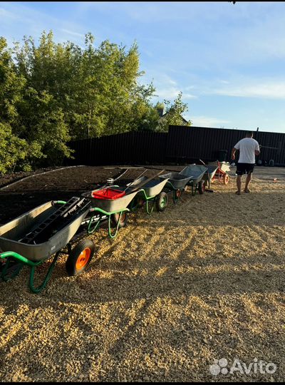 Рулонный газон