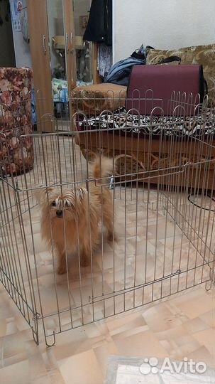 Клетка вольер манеж для животных