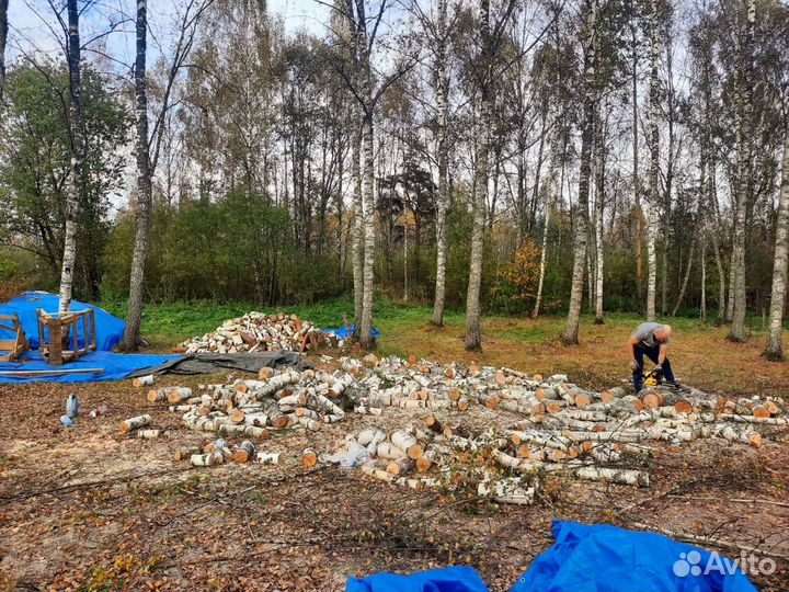 Расчистка участка, спил, благоустройство