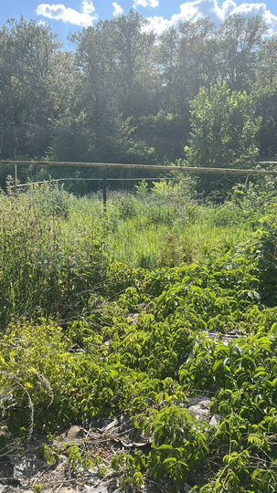 Участок 8 сот. (ИЖС)