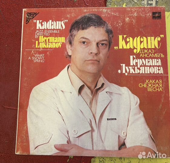 Виниловые пластинки