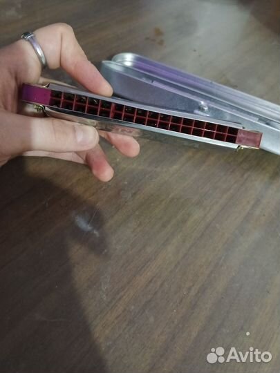 Губная гармошка