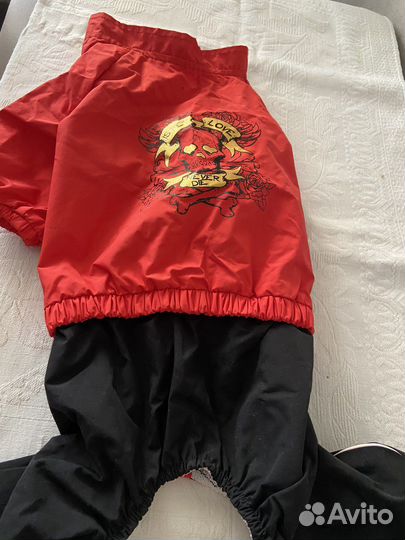 Комбинезон для собаки новый фирмы Is Pet