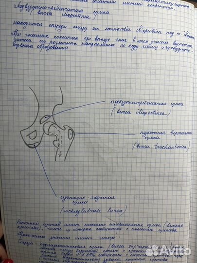 Напишу конспекты