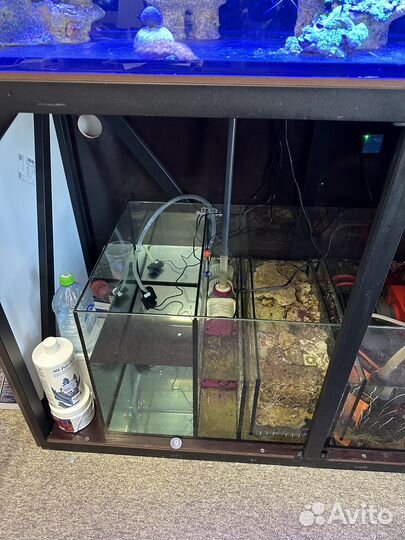 Продам морской аквариум