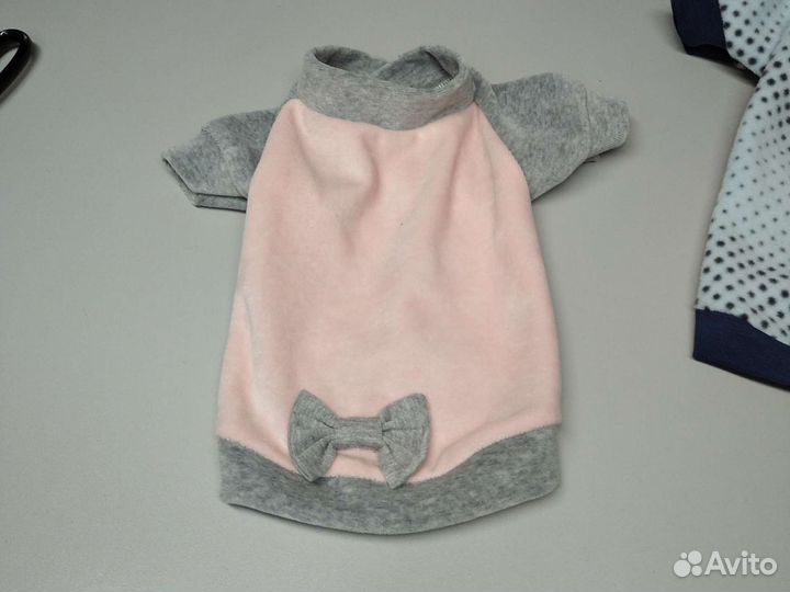 Одежда для собак такса