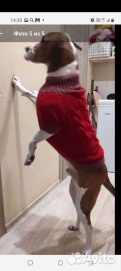 Свитерки для больших средних собак