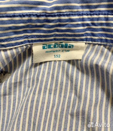 Блузка acoola 152 размер