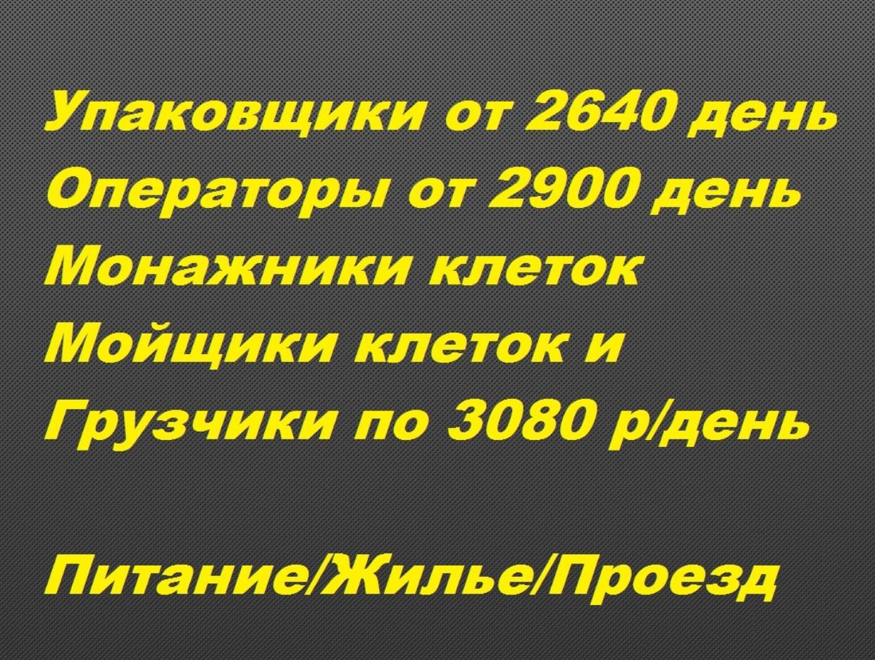 Работодатель ГК ГарантСервис — вакансии и отзывы о работадателе на Авито во  всех регионах