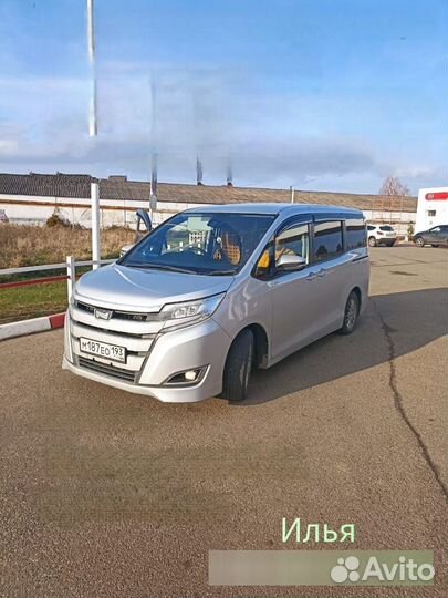 Предлагаю услуги заезд-выезд на границу