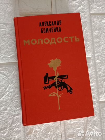 Александр Бойченко Молодость