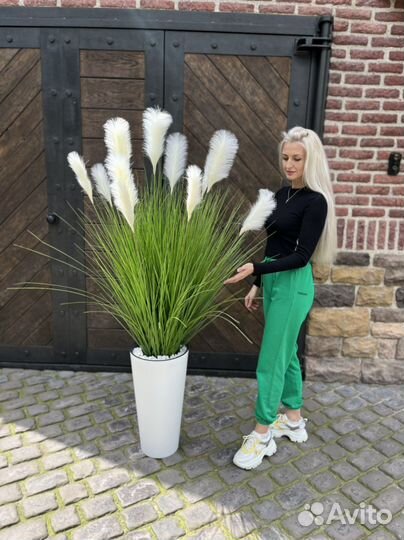 Осока искуственная