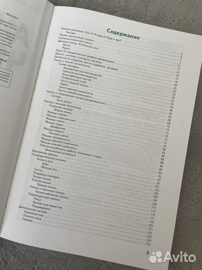 Анатомия человека 2023 год