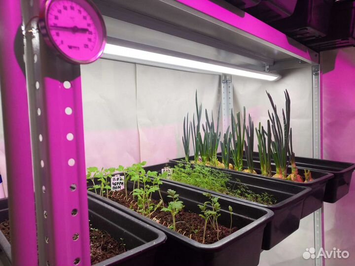 Стеллаж металлический с лотками