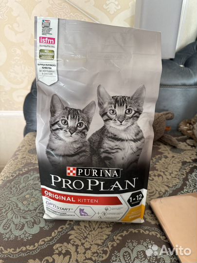 Продам кошачий корм для котят сухой pro plan