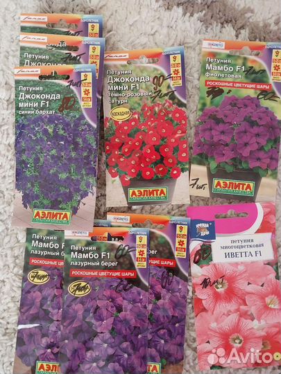 Семена петуний в драже и другие цветы