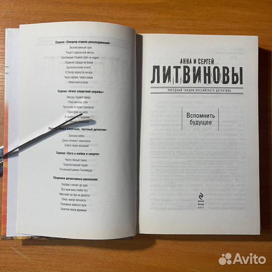 Детективы: Вспомнить будущее, Литвиновы А. и С