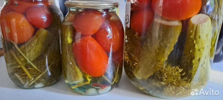 Помидоры свежие домашние