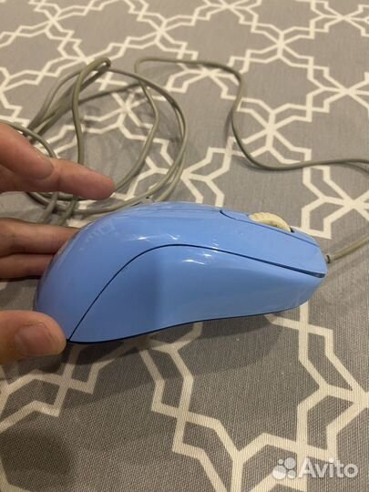 Zowie s1 divina blue
