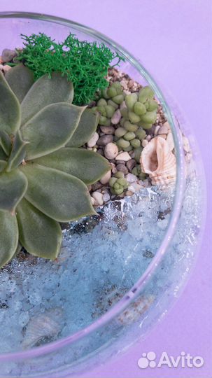 Флорариум мини