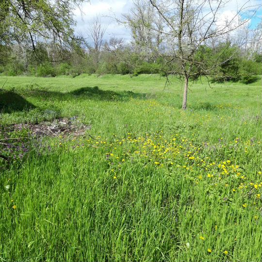 Участок 3 га (ИЖС)